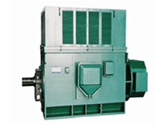 YR4005-6YR高压三相异步电机