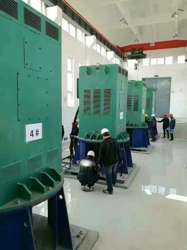 YR4005-6某污水处理厂使用我厂的立式高压电机安装现场