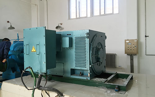 YR4005-6某水电站工程主水泵使用我公司高压电机