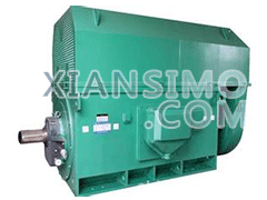 YR4005-6YXKK(2极)高效高压电机技术参数